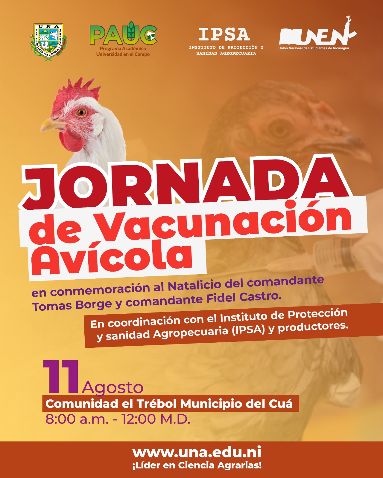 Jornada de vacunación avícola