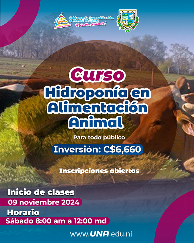 CursoHidroponia