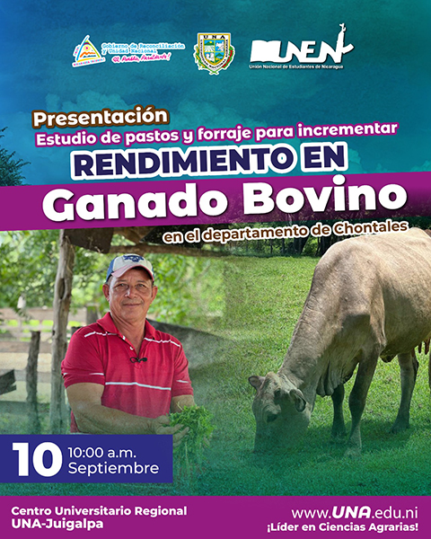 PresentacionRendimiento