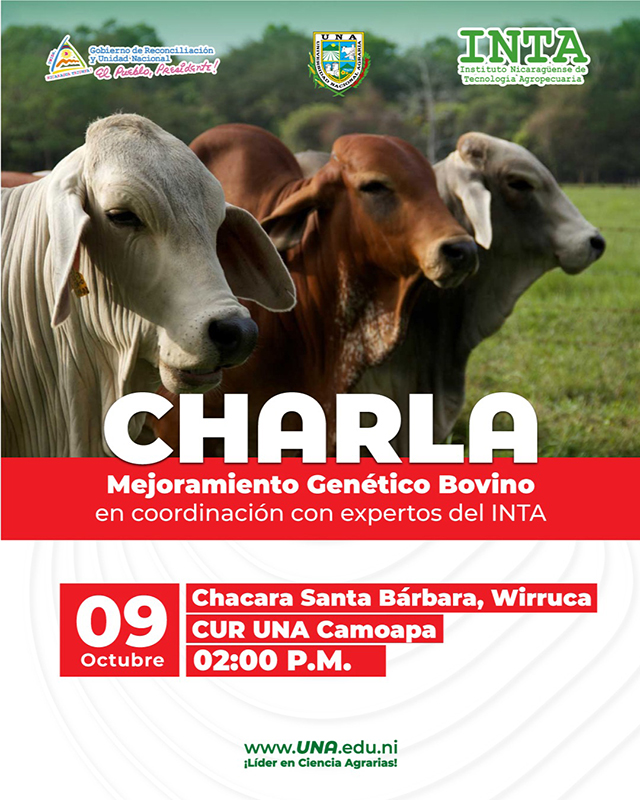 Charla Mejoramiento