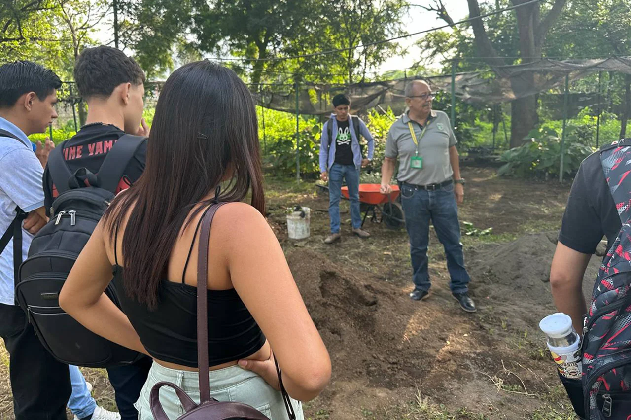 taller sobre “Manejo de plántulas en viveros forestales”