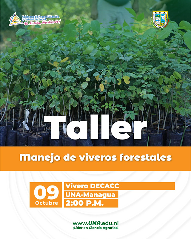 Taller Manejo