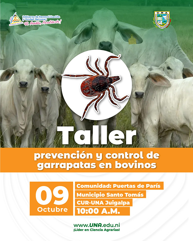 TallerPrevencion