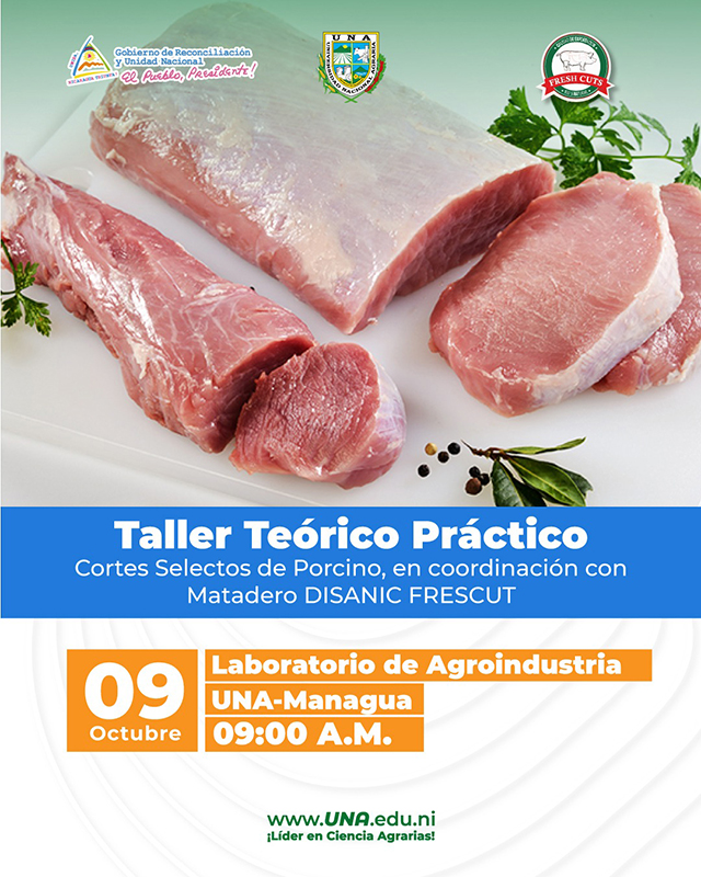 Taller Teorico Pratico