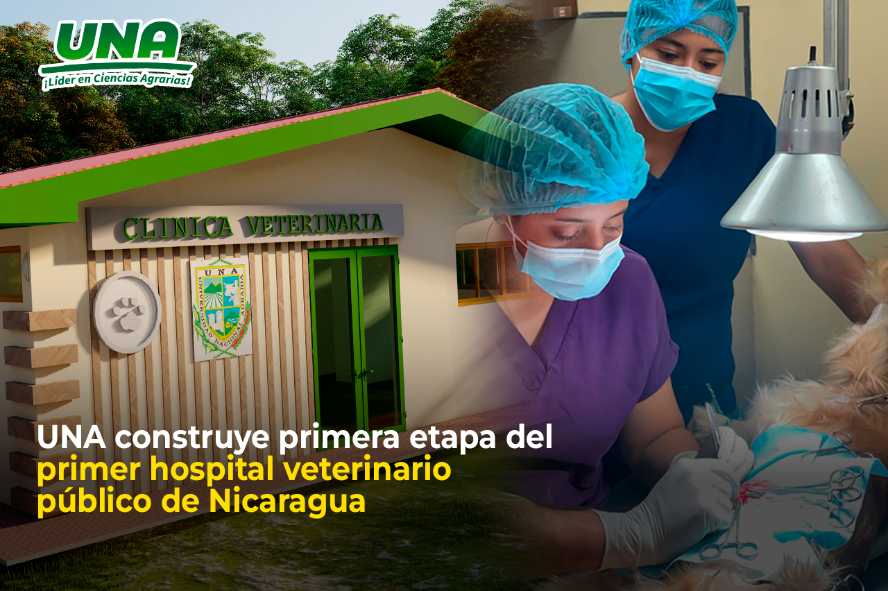 Primera etapa construcción Hospital Veterinario | Universidad Nacional Agraria